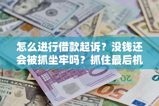 北京怎么进行借款起诉？没钱还会被抓坐牢吗？抓住最后机会！