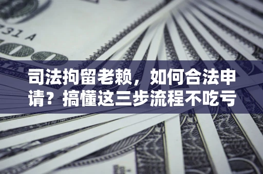 北京司法拘留老赖，如何合法申请？搞懂这三步流程不吃亏！