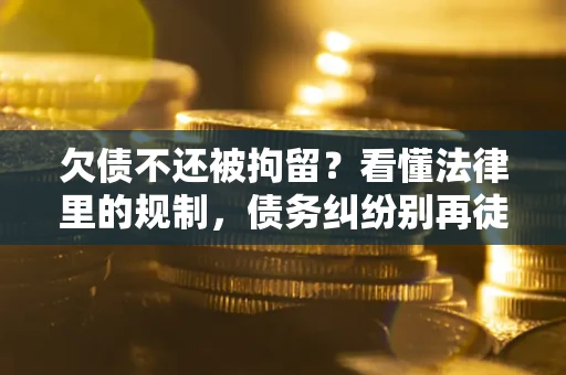 北京欠债不还被拘留？看懂法律里的规制，债务纠纷别再徒劳奔波