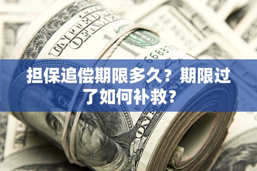 北京担保追偿期限多久？期限过了如何补救？